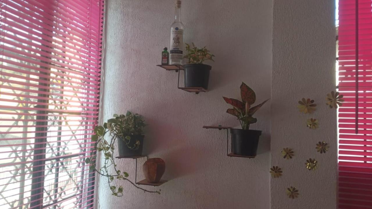 Ferienwohnung Cat Family Lodging Cartagena  Exterior foto